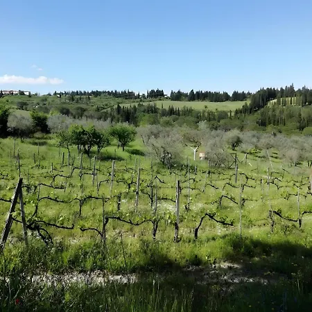 La Cantinetta Di Barberino Greve in Chianti